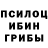 Псилоцибиновые грибы Psilocybe Feel Quattro