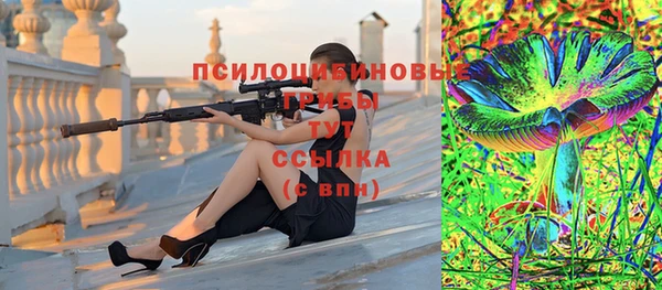 дурь Алексеевка
