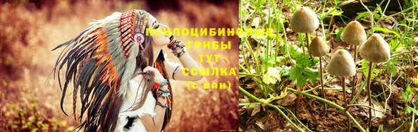 дурь Алексеевка