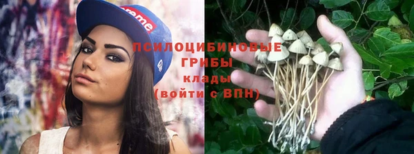 дурь Алексеевка